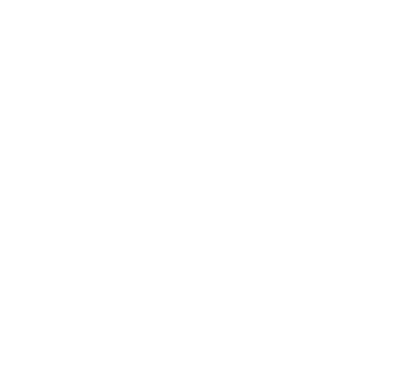 האקדמיה לניהול של סיון רז
